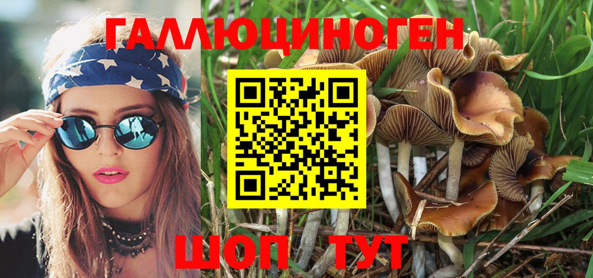 Галлюциногенные грибы MAGIC MUSHROOMS  где купить наркоту  Муравленко  Вход с VPN 